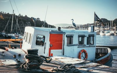 4 Special Requirements for Commercial Fishing Boats as Stated by AMSA
